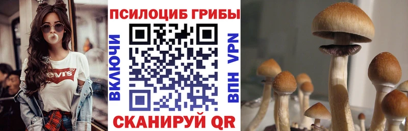 Псилоцибиновые грибы ЛСД Иноземцево
